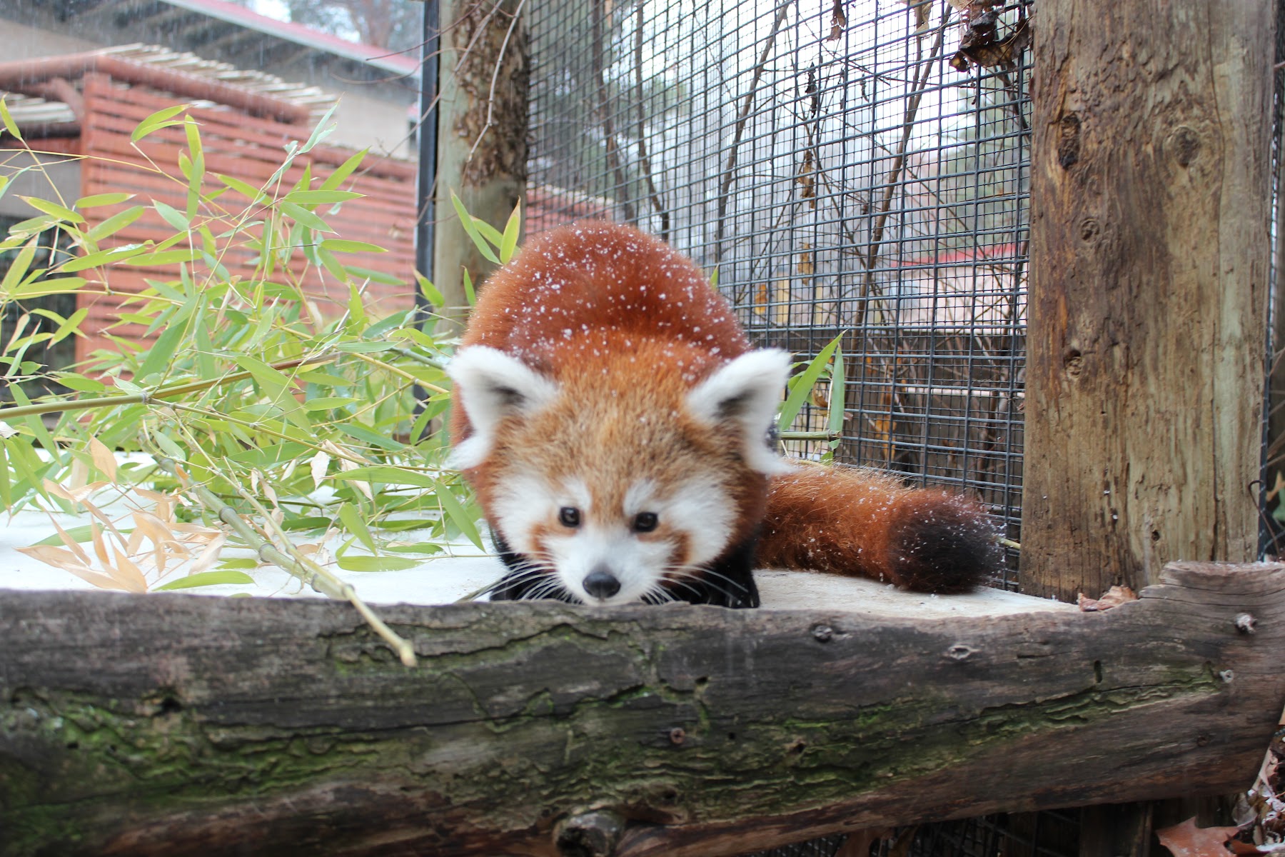 Zoo & Science Fun in Downtown Boise