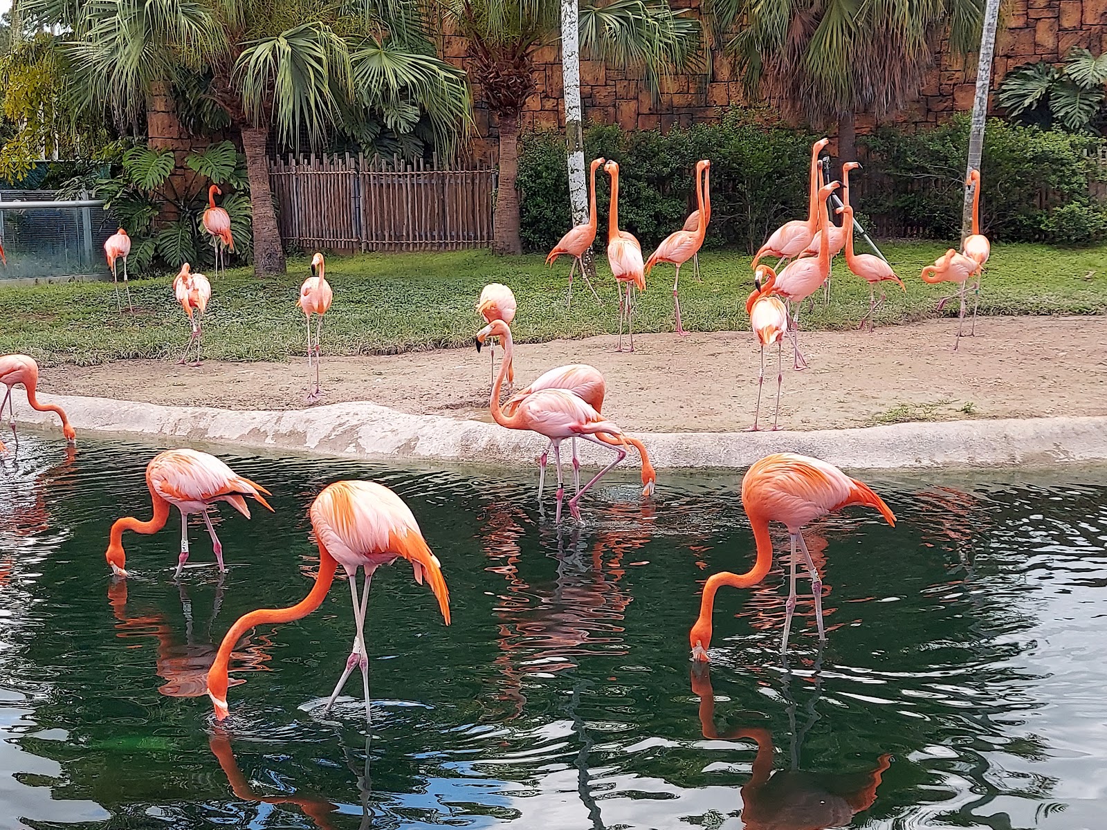 Zoo Miami & Park Play Day